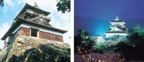 丸岡城