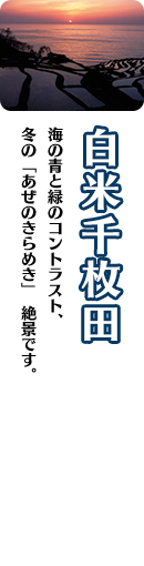白米千枚田